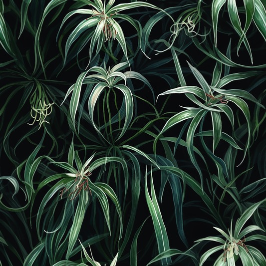 Introducing Two Mesmerizing Spider Plant Patterns