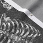 Dem Bones (Grayscale) Fabric