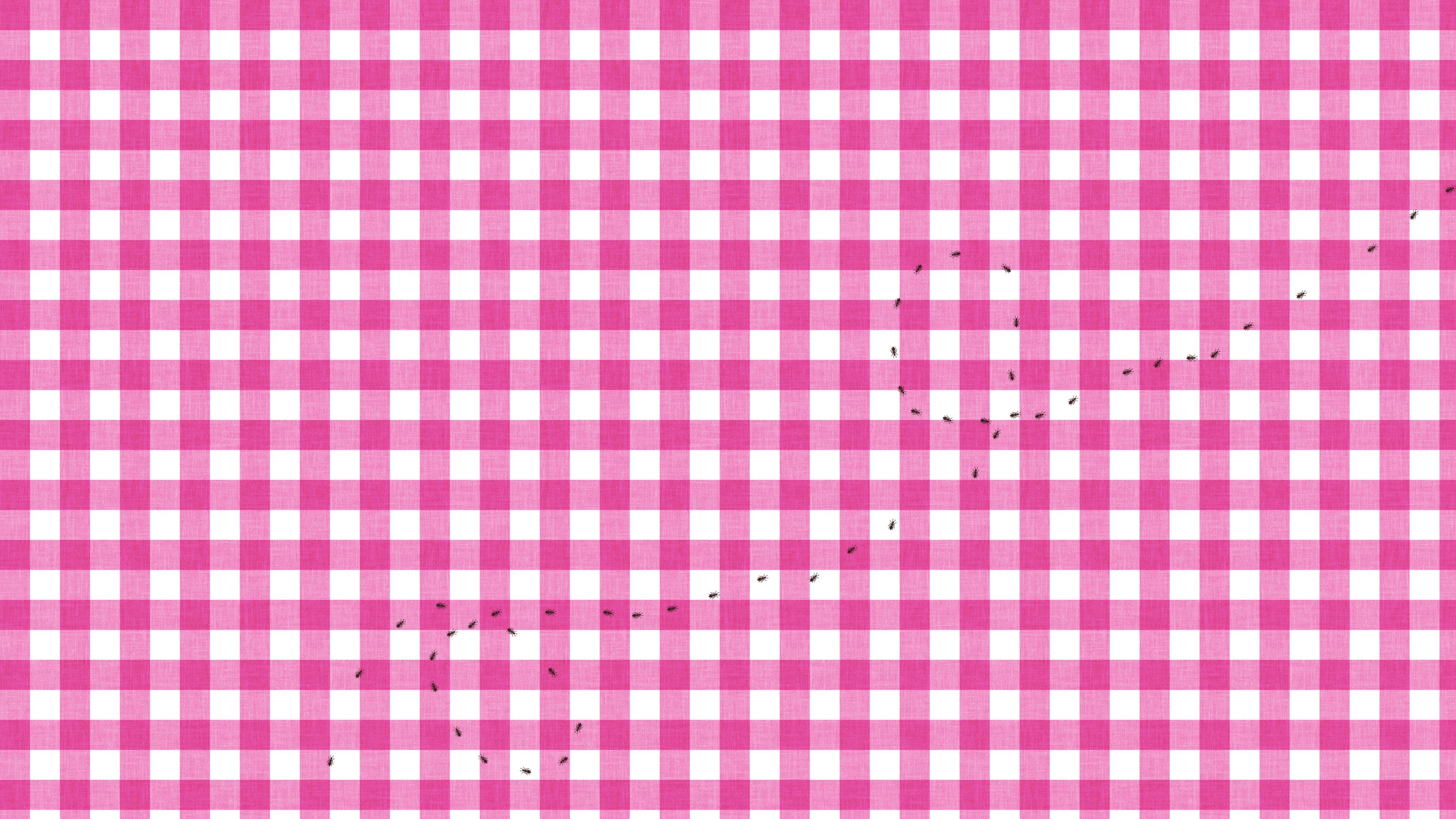 Ants at the Picnic Pink, by Studio Ten Design