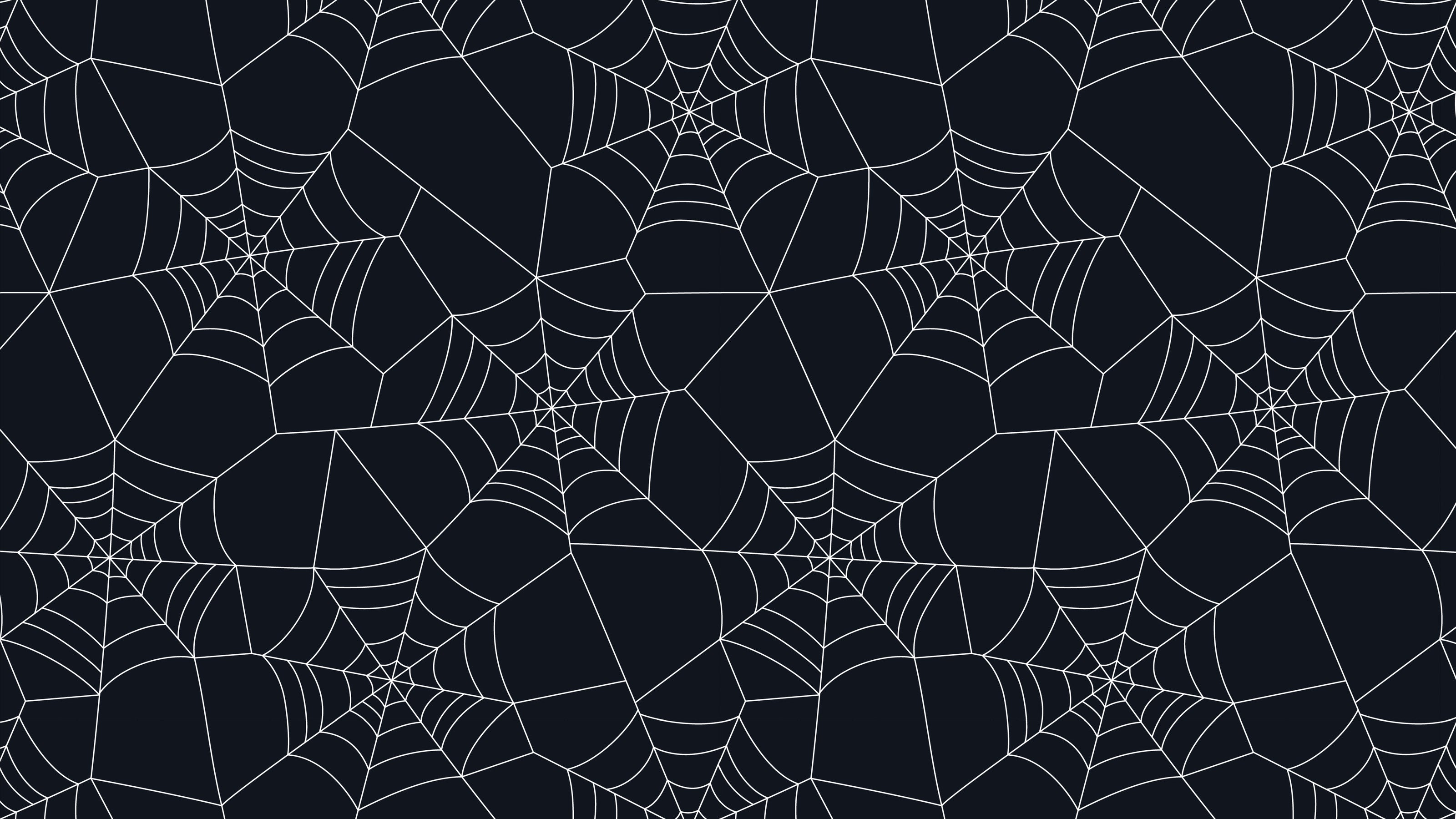 Spiderwebs Graphite by Studio Ten Design