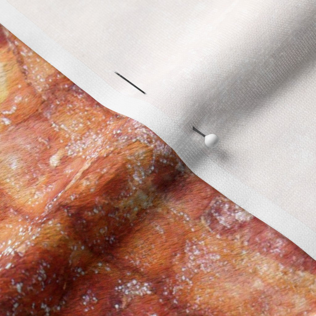 Bacon! Minky Printed Fabric by Studio Ten Design