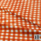 Gingham Style Carrot Small Straight Printed Fabric by Studio Ten Design